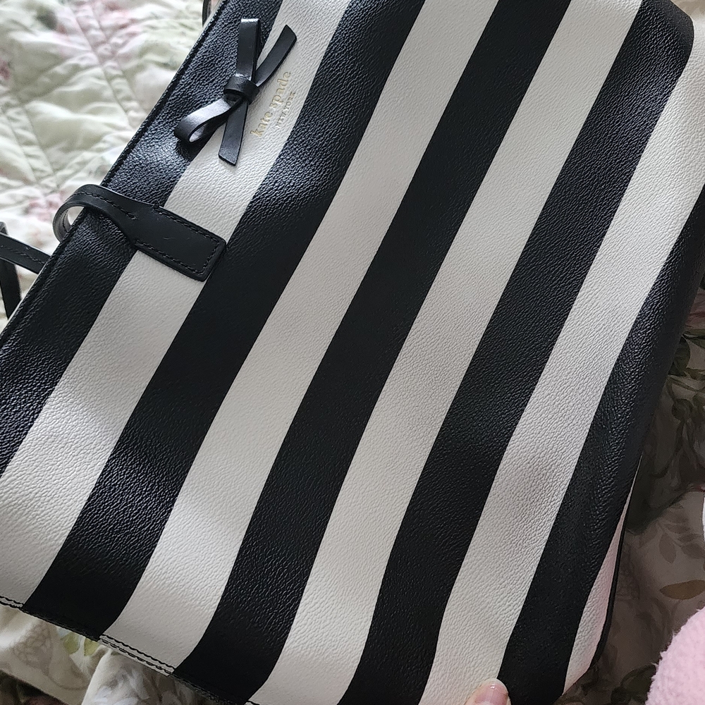 Kate Spade Bold Stripe Crossbody Bag